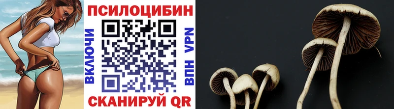 где продают наркотики  даркнет состав  Галлюциногенные грибы GOLDEN TEACHER  Рассказово 